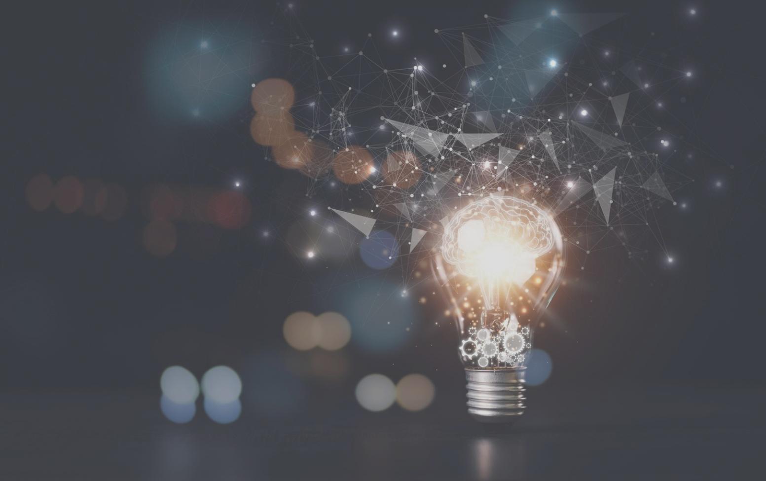 Analyse und Auswertung von Bilderkennungssystemen